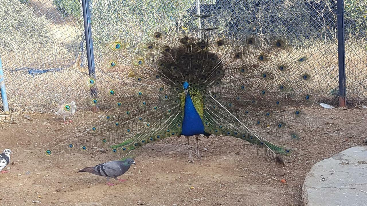 Hotel Relais De Tahla Aïn Bou Mahdi Exteriér fotografie
